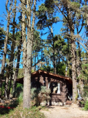 Cabaña El Deseo En El Bosque
